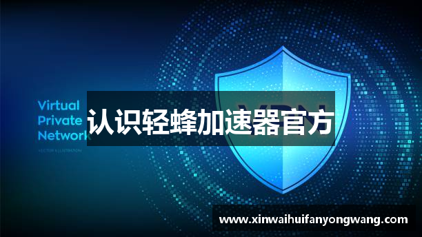 认识轻蜂加速器官方